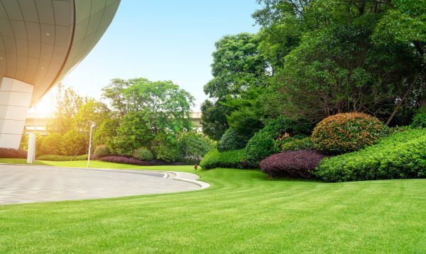 Commercial Shrub Trimming in Monroe Township