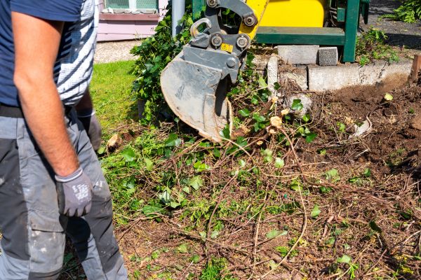 Hedge Removal Service in Monroe Township