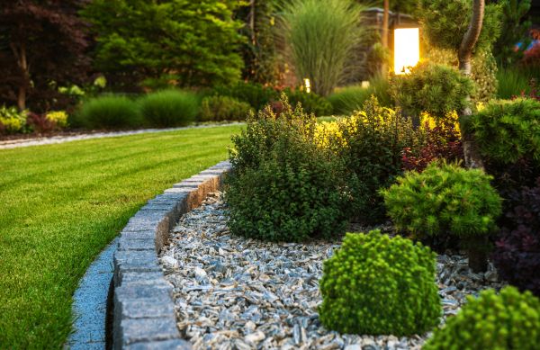 Bush Relocation in Monroe Township
