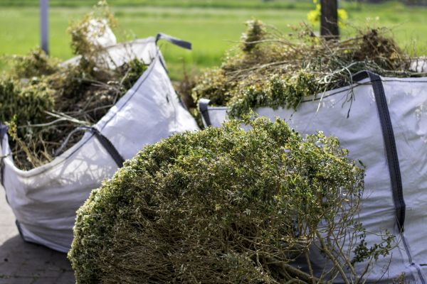 Shrubs Removal in Monroe Township