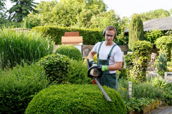 Shrubs Trimming in Monroe Township