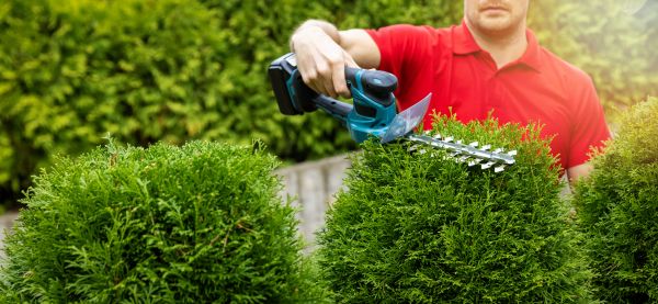 Hedge Shaping Service in Monroe Township